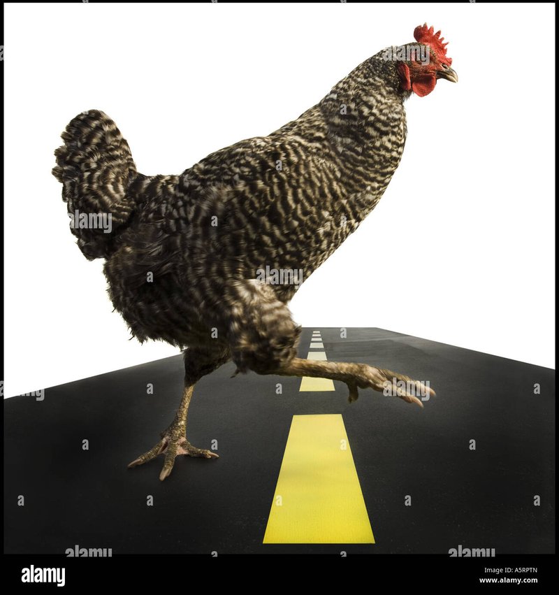 Chicken road slot - Ontdek het Avontuur op de Kippen Road Casino Gokspel en Gokkast